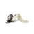 a5ec45150ad2a1aeaac80ef225889a0c