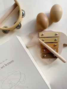 Konges Slojd - zestaw drewnianych instrumentów - LEMON