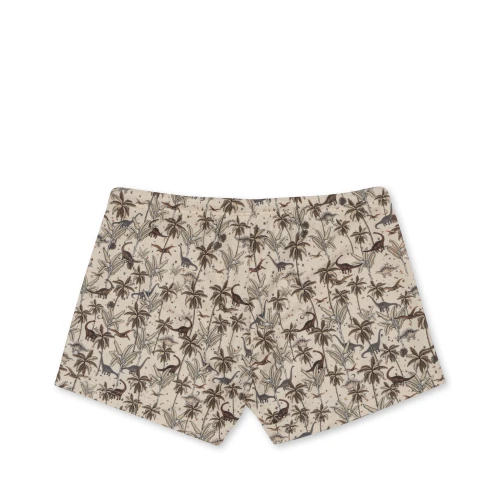 KS100089 -  ASTER SWIM PANTS - DINO - Extra 1.jpeg