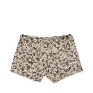 KS100089 -  ASTER SWIM PANTS - DINO - Main.jpeg