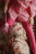 Konges Slojd - Rajstopy Glam - AMOUR PINK